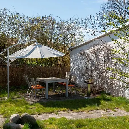 Himbeere Mit Grossem Garten