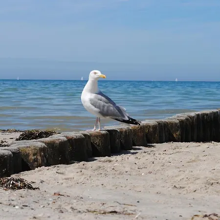 Apartmán Himbeere Mit Grossem Garten *
