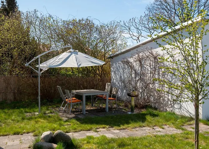 Himbeere Mit Grossem Garten