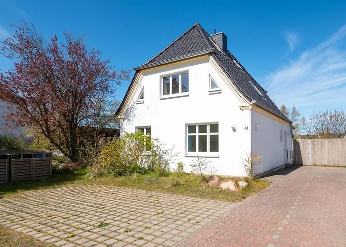 Himbeere Mit Grossem Garten