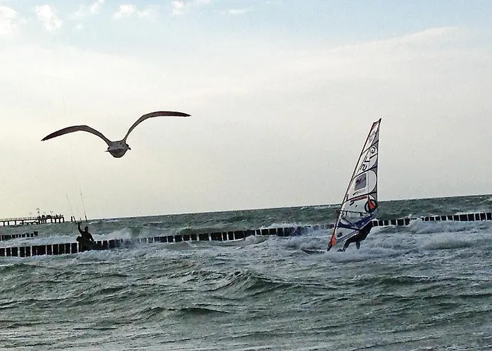 Himbeere Mit Grossem Garten *